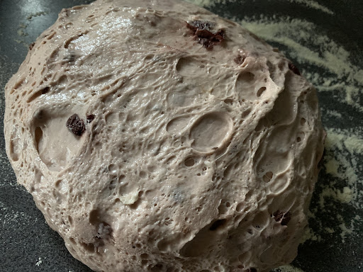 Sauerkirsch-Brötchen - Sauerteigliebe