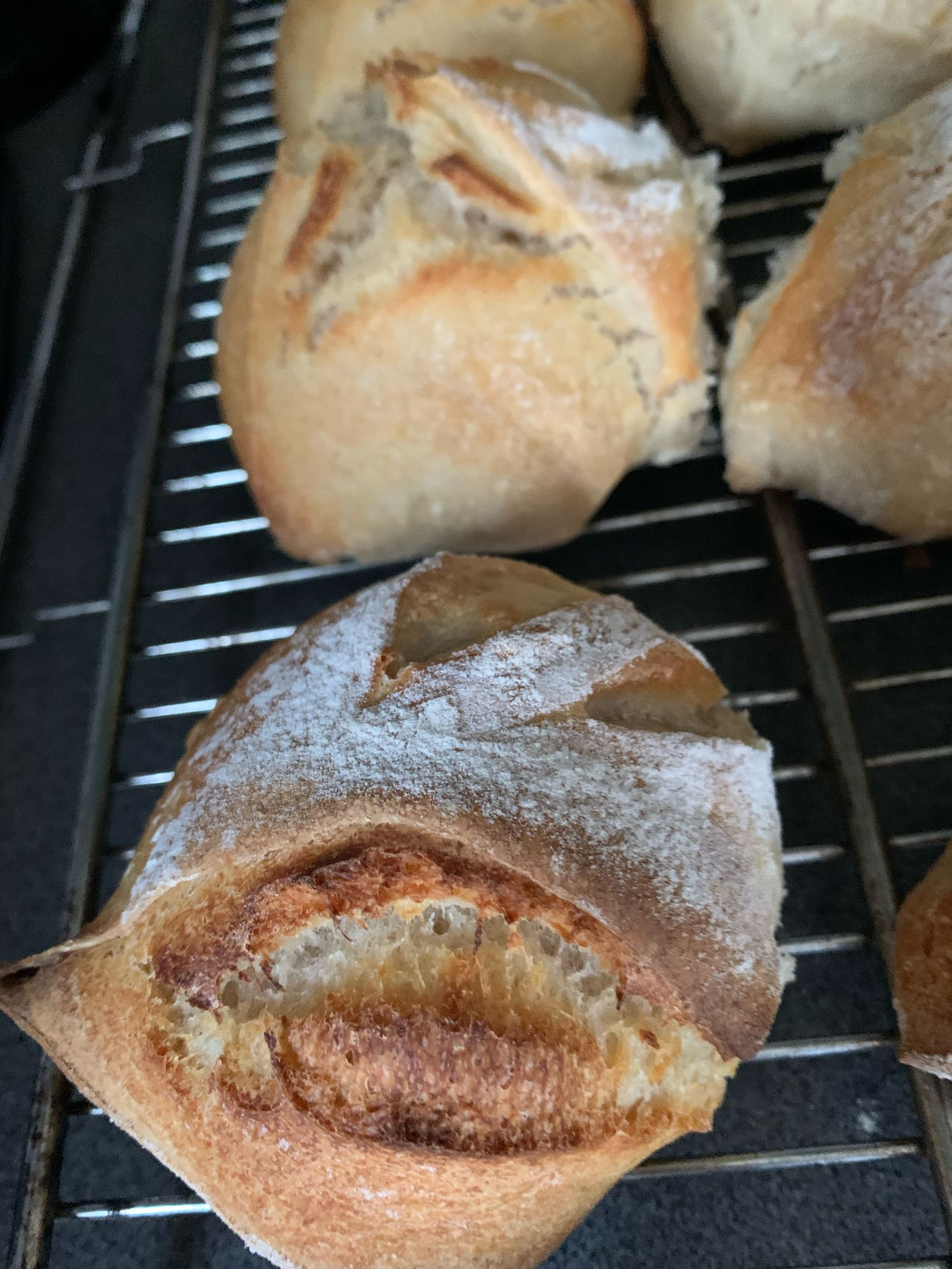 Helle simple Dinkelbrötchen - Sauerteigliebe